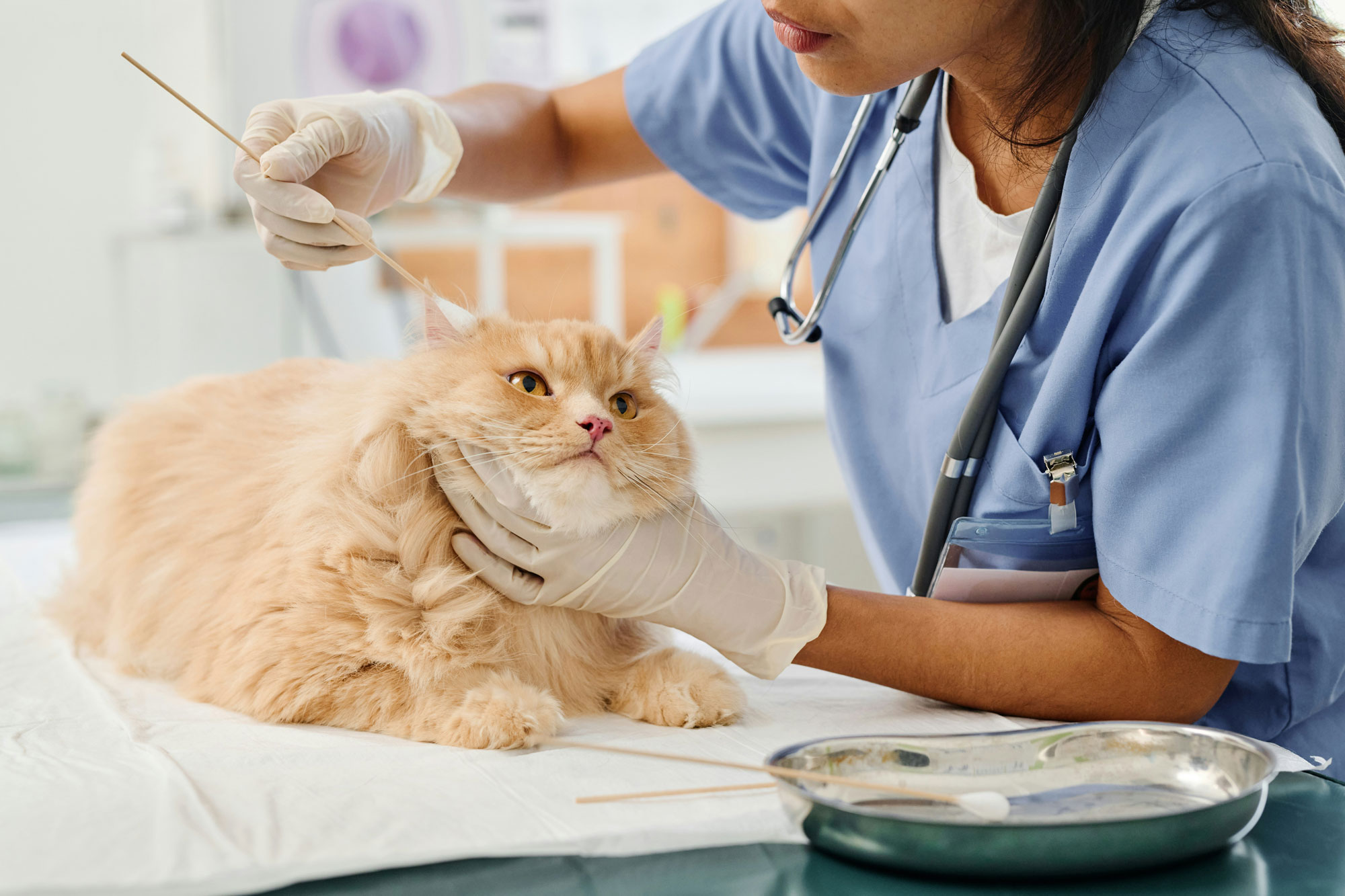 Tierarztpraxis_Fischeln_Praxis_Slider_web_01